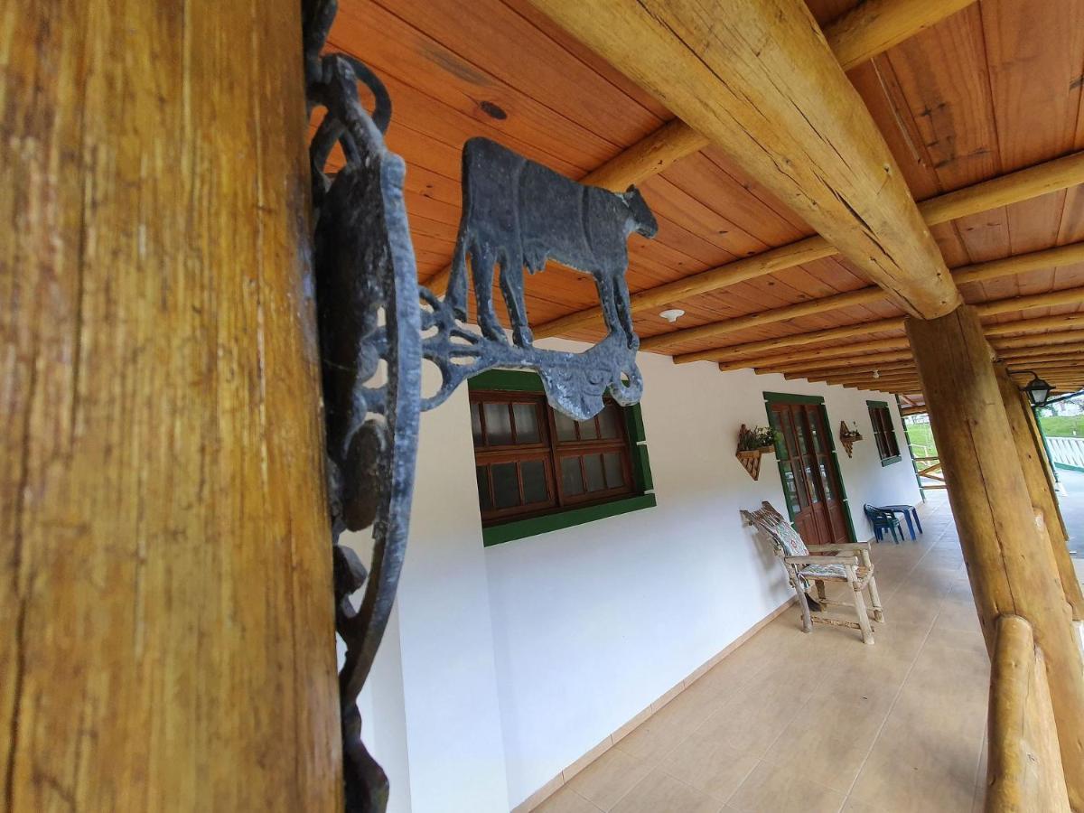 Sitio Pedacinho Do Ceu Na Serra Catarinense Rancho Queimado Ngoại thất bức ảnh